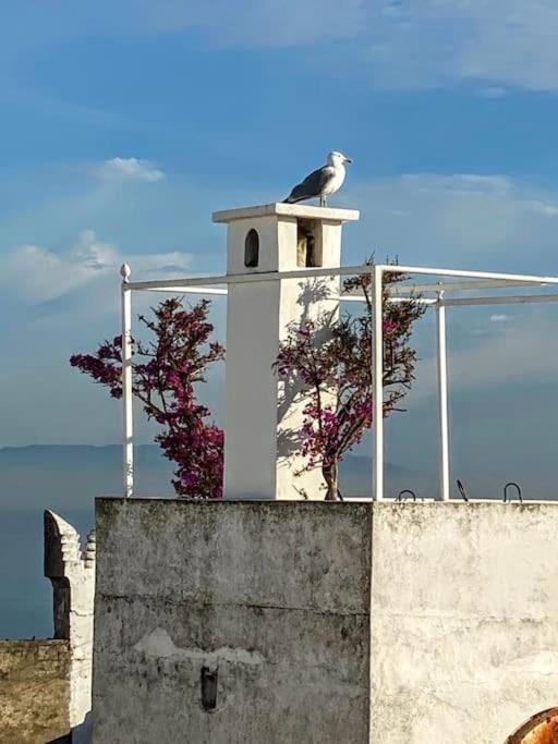 Dar Weldi, Maison Au Coeur De La Kasbah Tanca Dış mekan fotoğraf